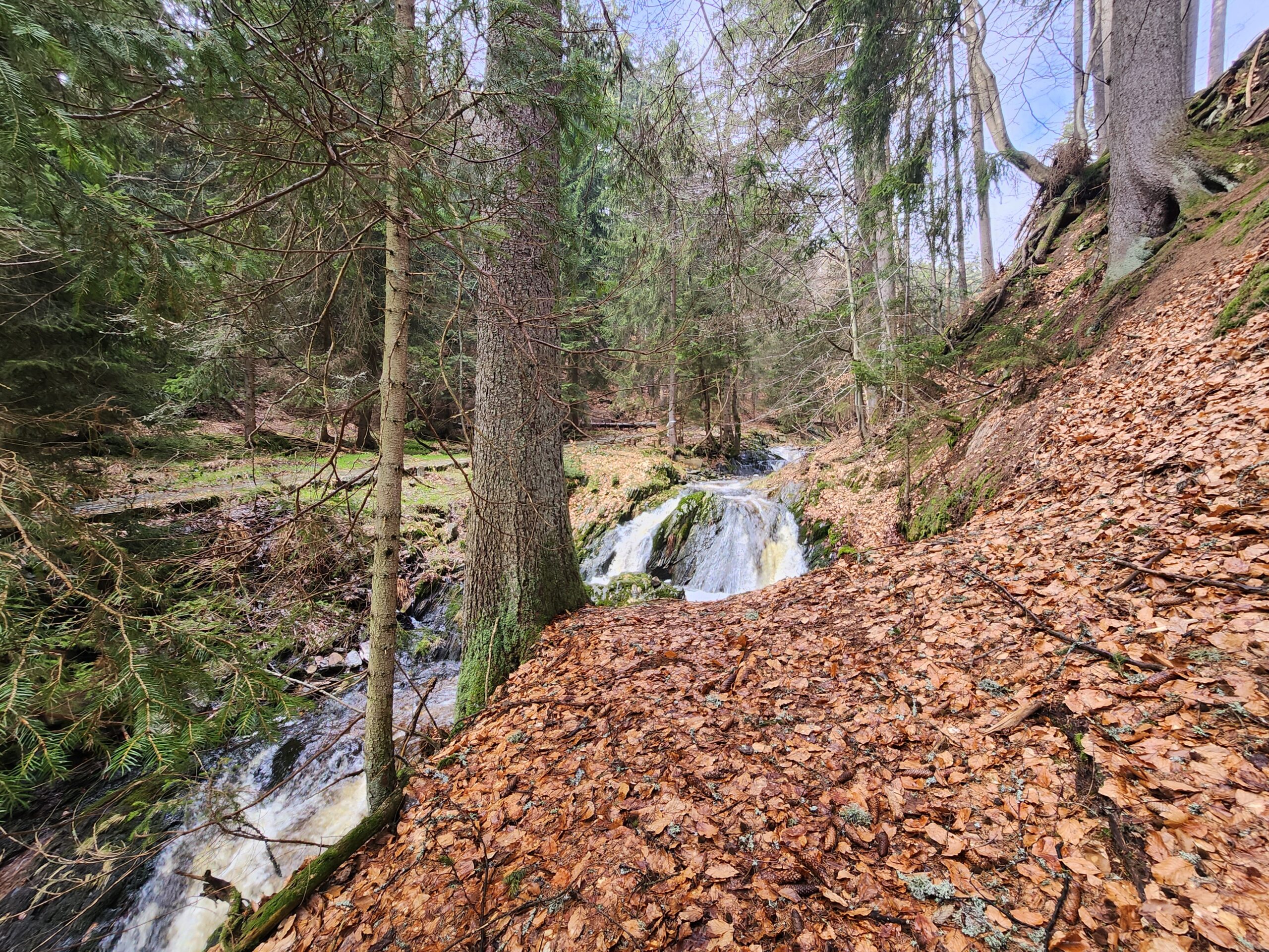 Jańskie Łaźnie 39